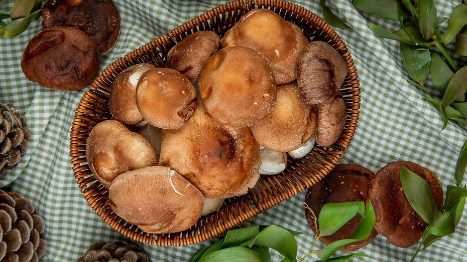     Источник здесь и далее: freepik.com