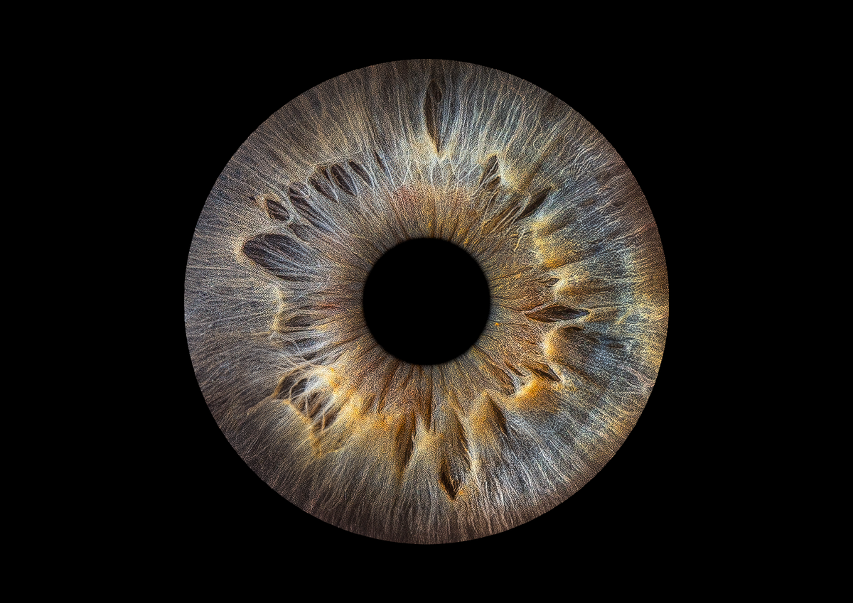  фото из студии Your Eyes макро 