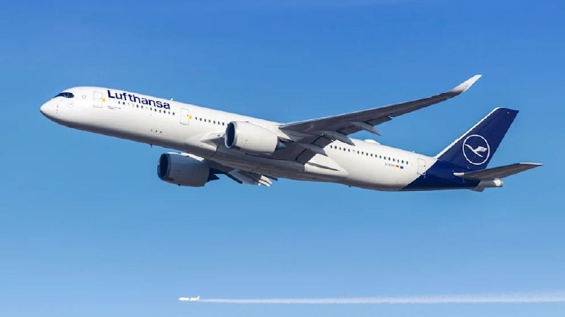 Фото: picture alliance / Markus Mainka