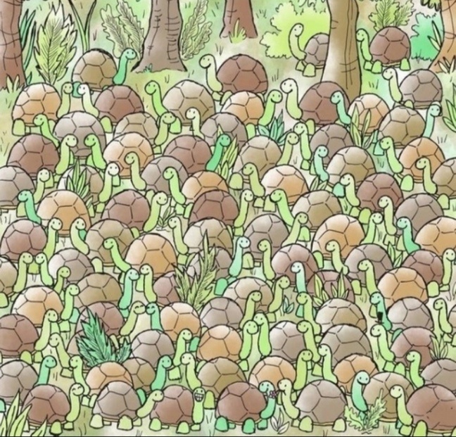 Найди змею среди черепах. Картинка из свободных источников