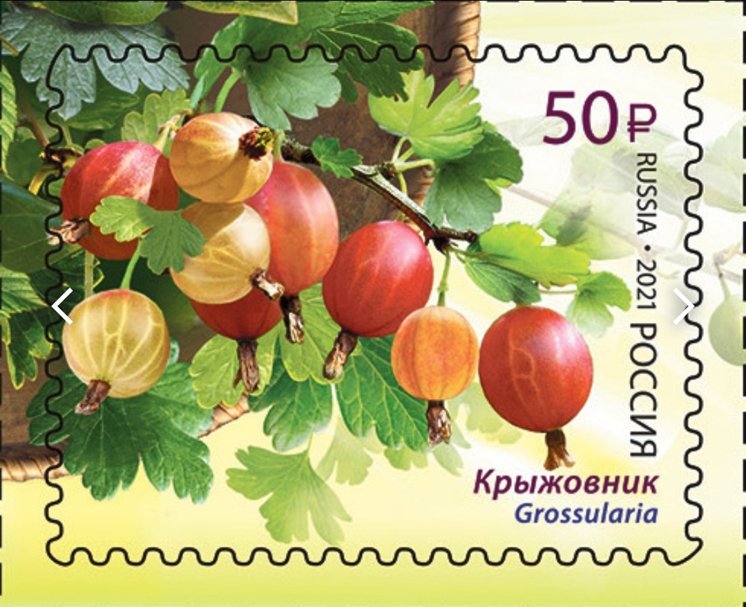 Почтовая марка. Открытые источники :) 