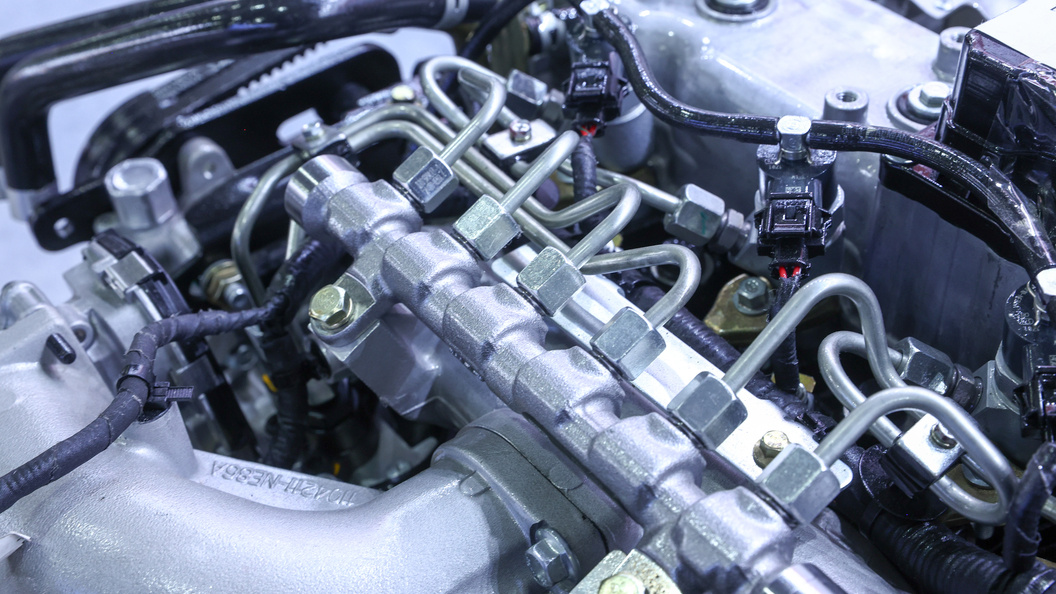    Petrov Sergey/news.ru