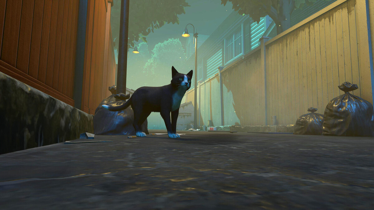    Галерея игры Copycat