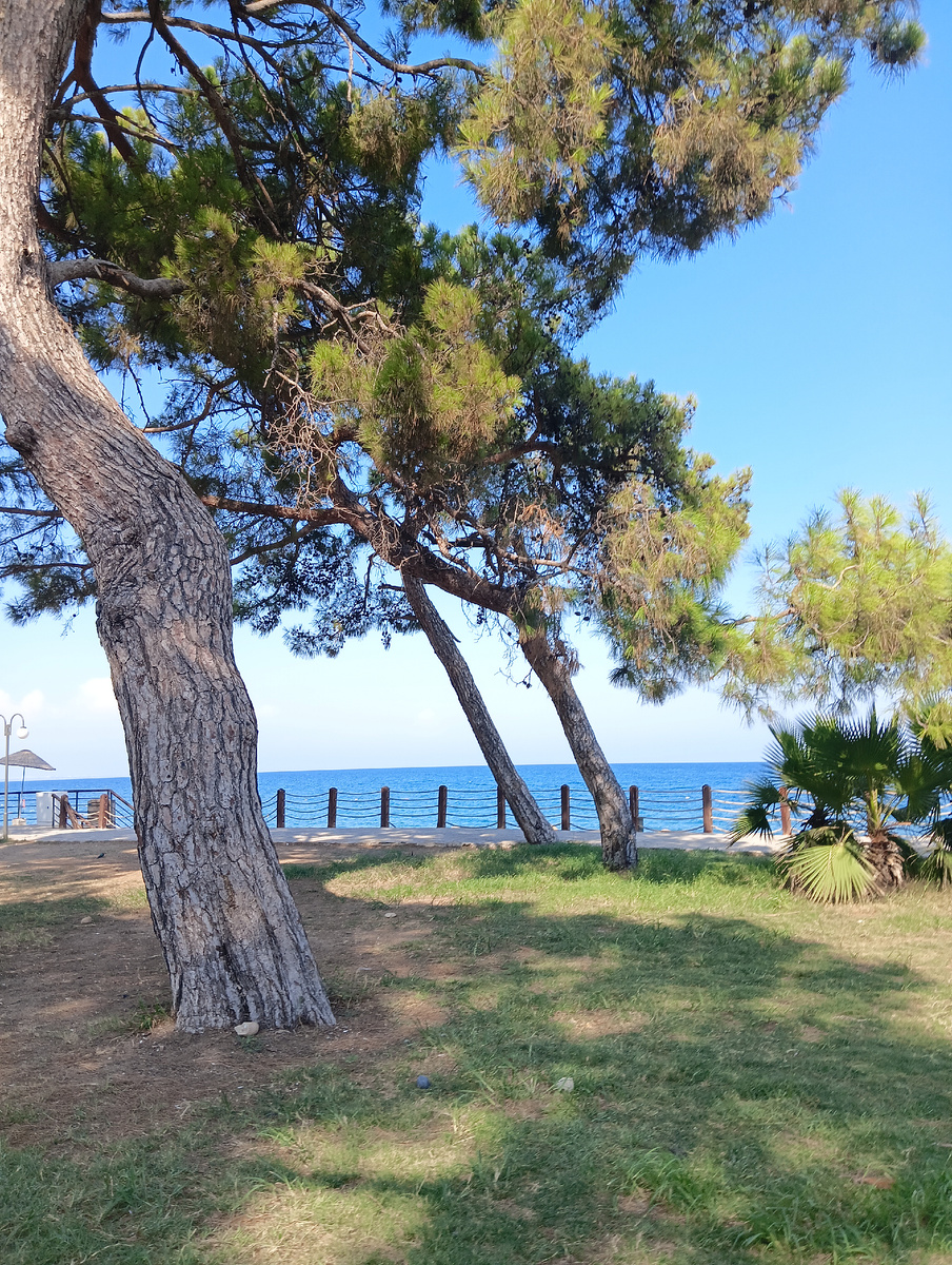 Набережная