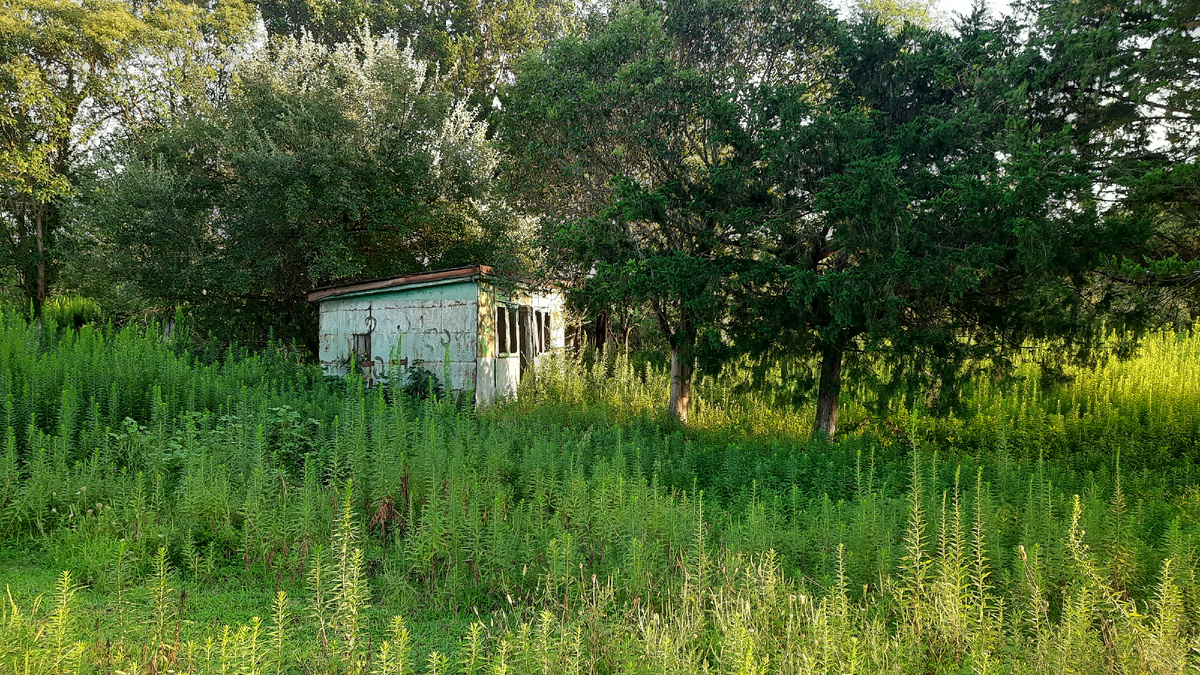 Добрый летний день. Грузия.