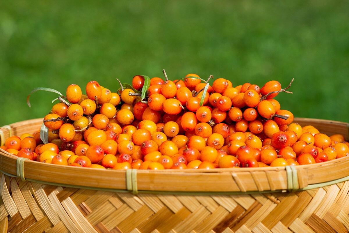 Яркая, сочная, полезная. Источник: Shutterstock📷
