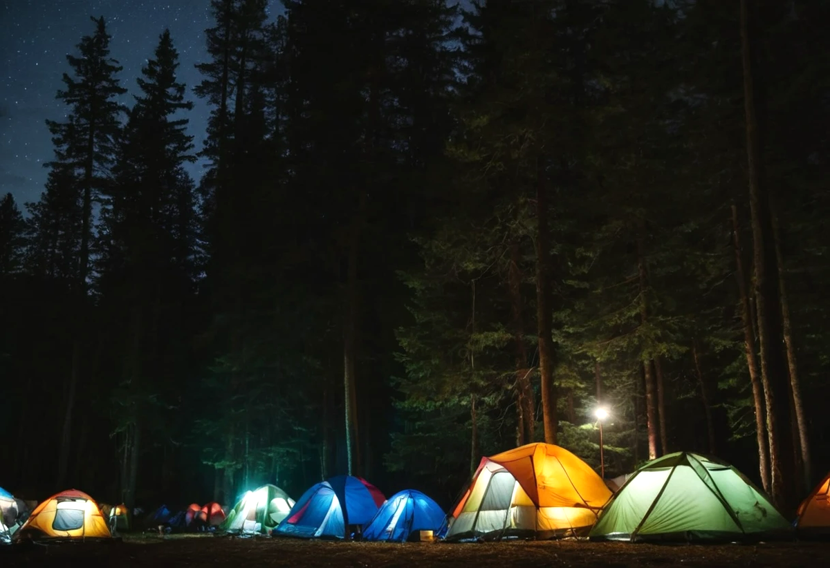 Группа школьников отдыхала на берегу реки.
