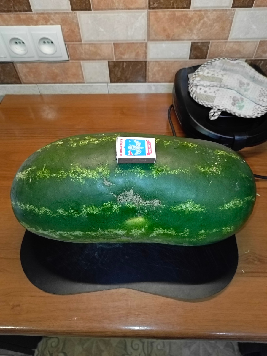 Похож на дыню  по форме.