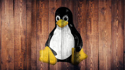 Число атак на российские Linux выросло в 85 раз (Новости Будущего)