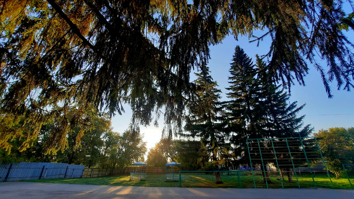 Во дворе школы 