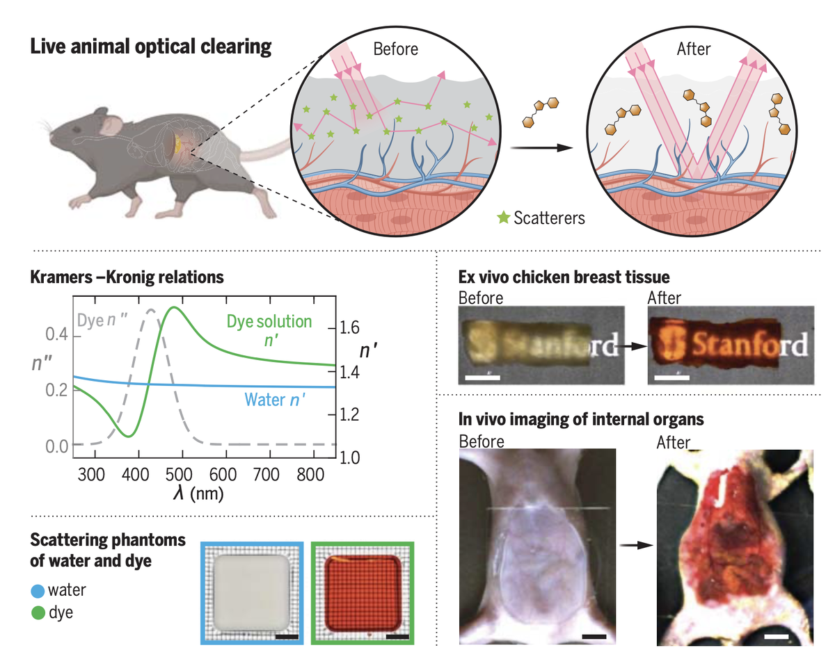   Zihao Ou et al. / Science, 2024