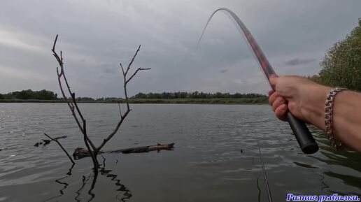 Воды нет! Рыбы мало! Кто украл Воду!?