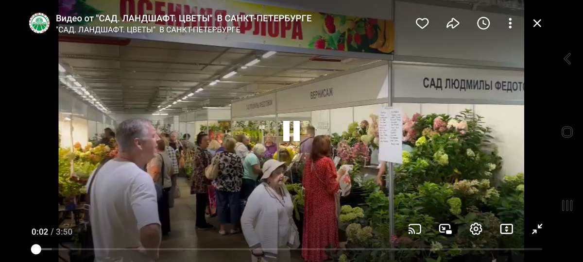 Фото из группы, освещающей выставку