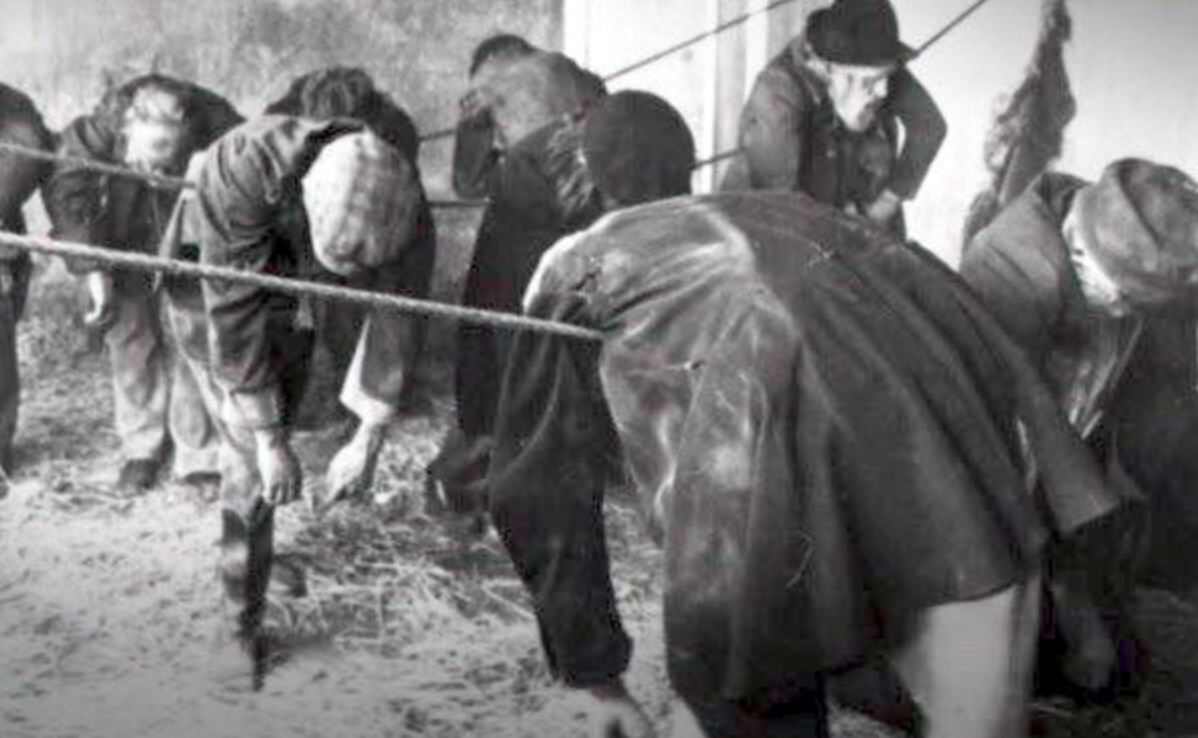 Самое смешное с этой фотографией то, что...