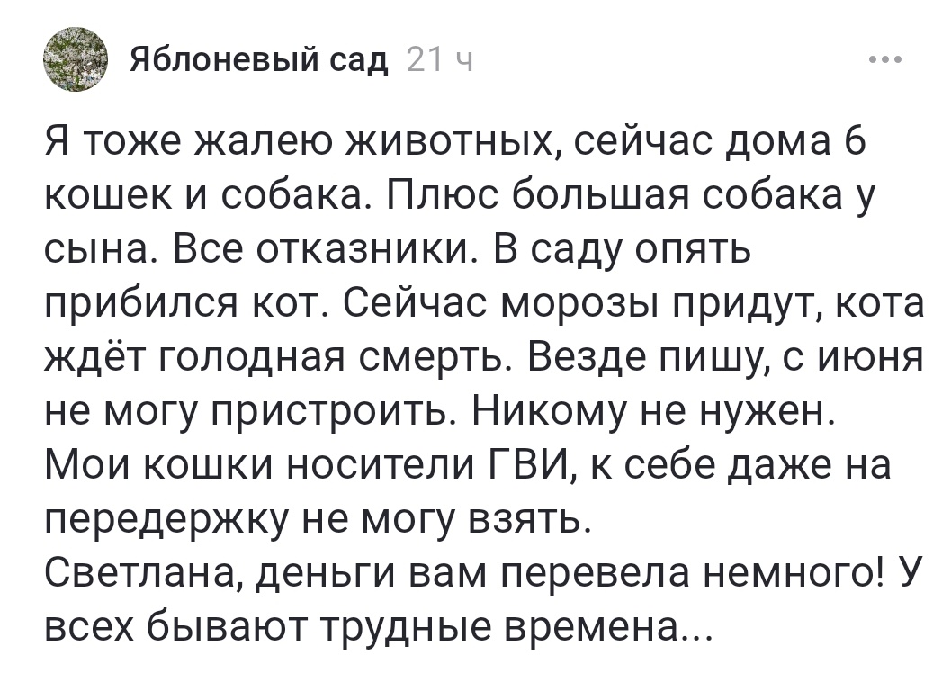 В своем блоге ей тоже  надо такие дела поднимать и не замалчивать , особенно про других животных :