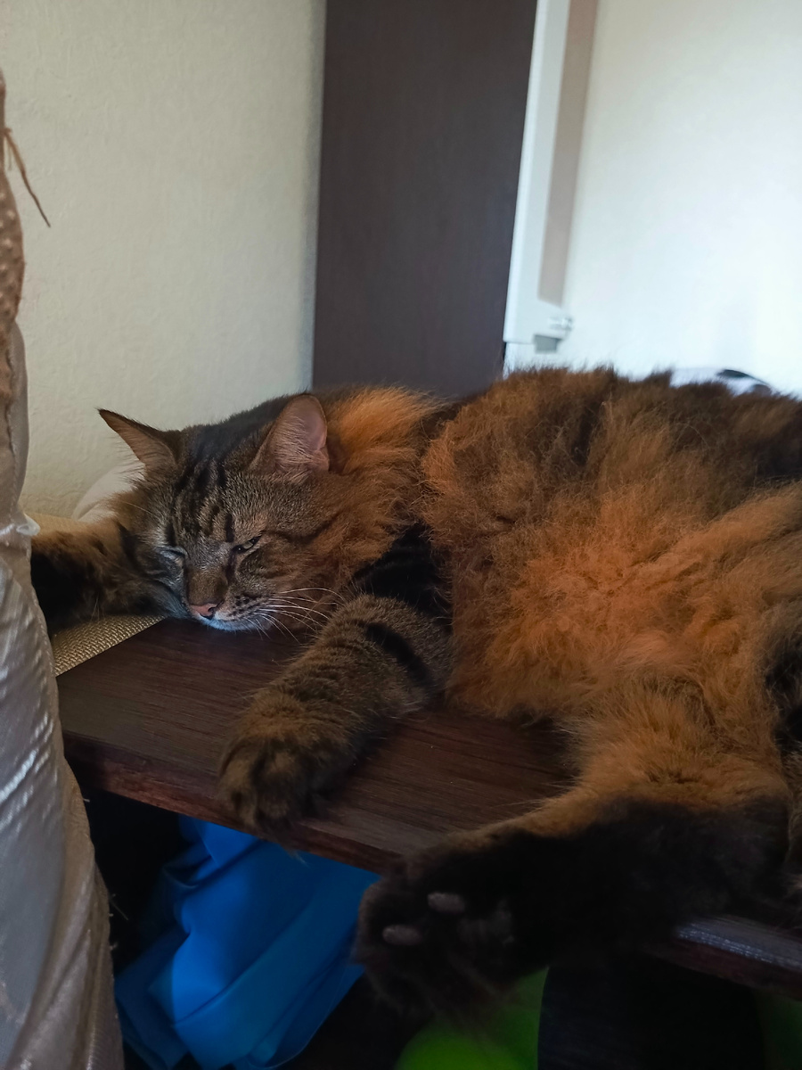 Вроде и отдыхаю, но одни глазом бдительность не теряю.