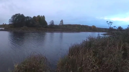 охотбаза титеево шаховской район верхнерузское водохранилище