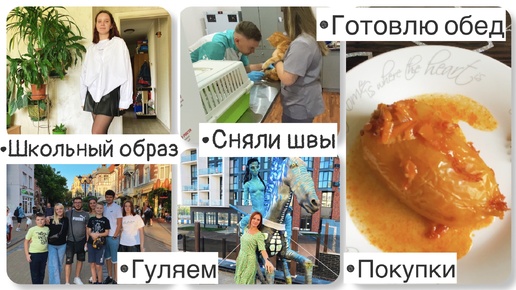 Что у нас нового🍁|| Школьный образ Таси|| Готовлю обед 🥘||Сходили в ветеринарную клинику🐈|| Покупки