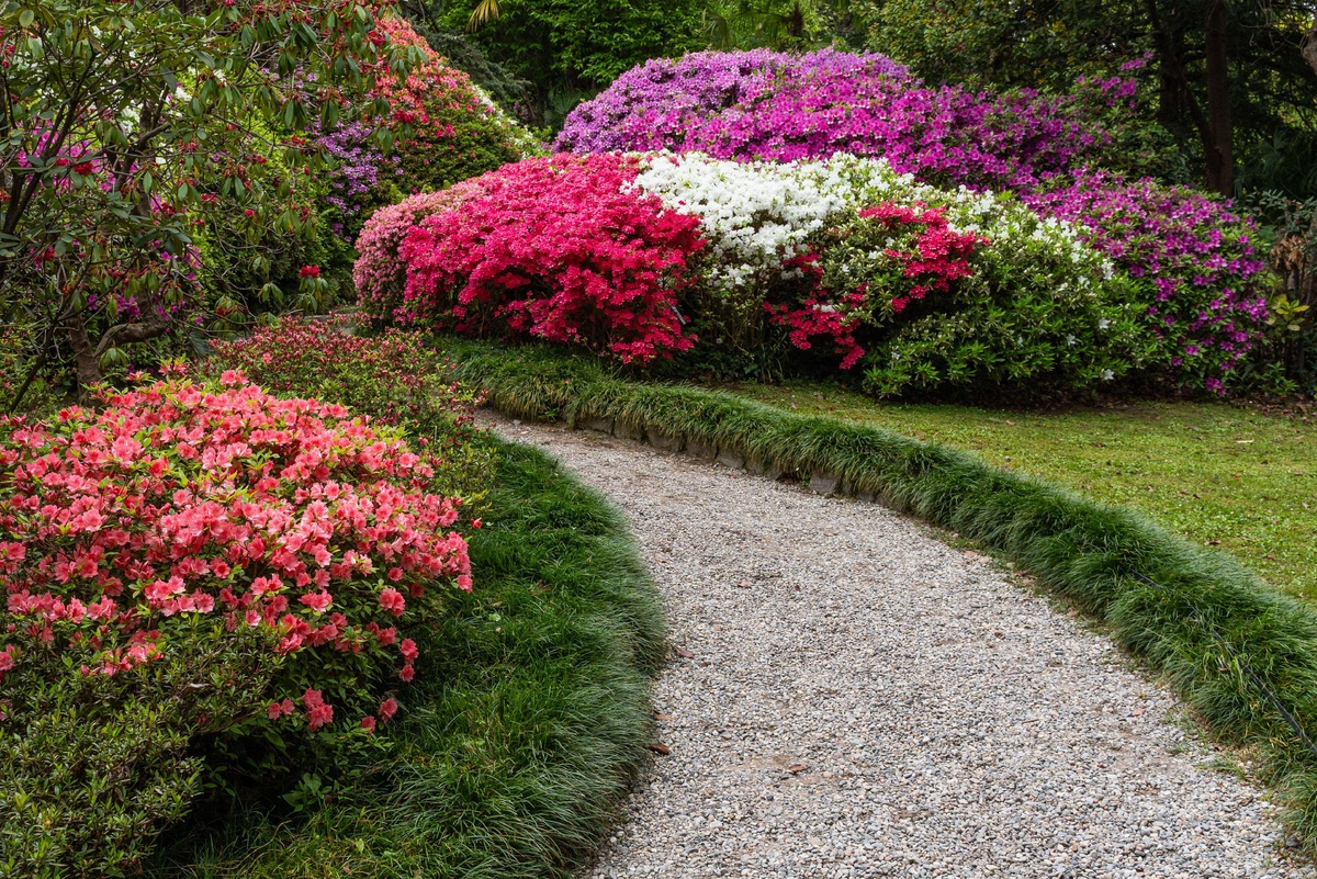     Дорожки, которые растут: как сделать необычные тропинки на участке