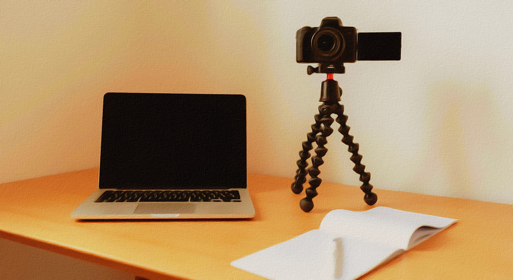 Фото: Anete Lusina — Pexels