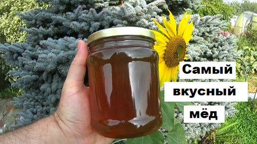 Подмосковный мёд самый вкусный