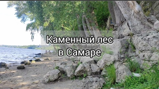 Уголок дикой природы в центре Самары