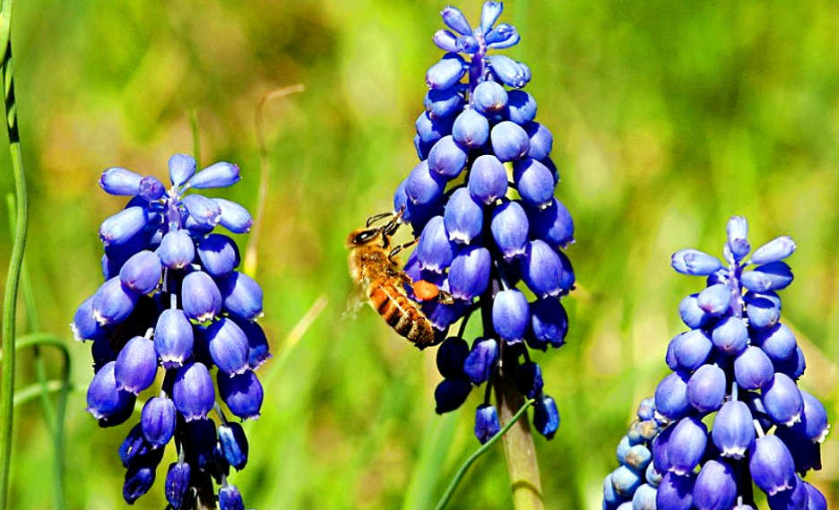 Снимок: vsegda-pomnim.com