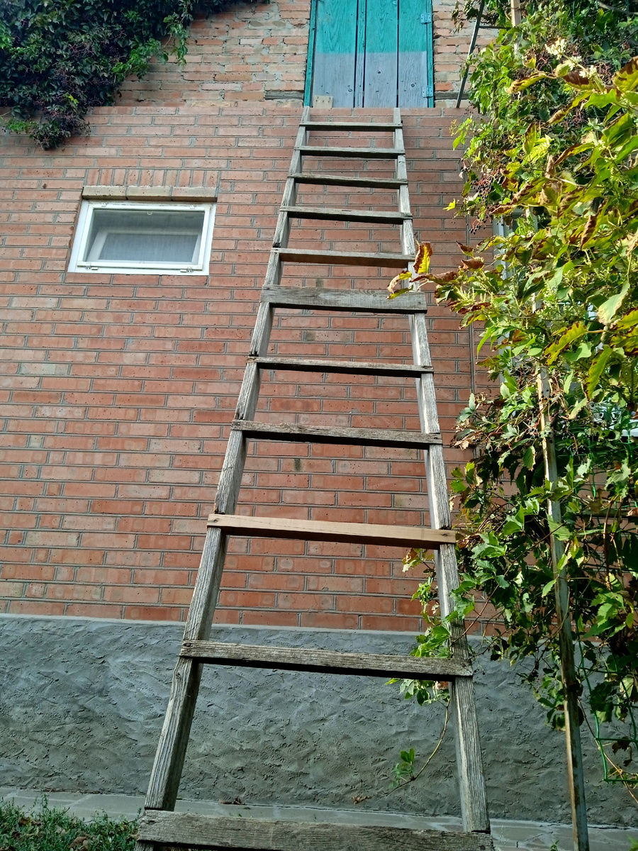 Собственное фото автора. 