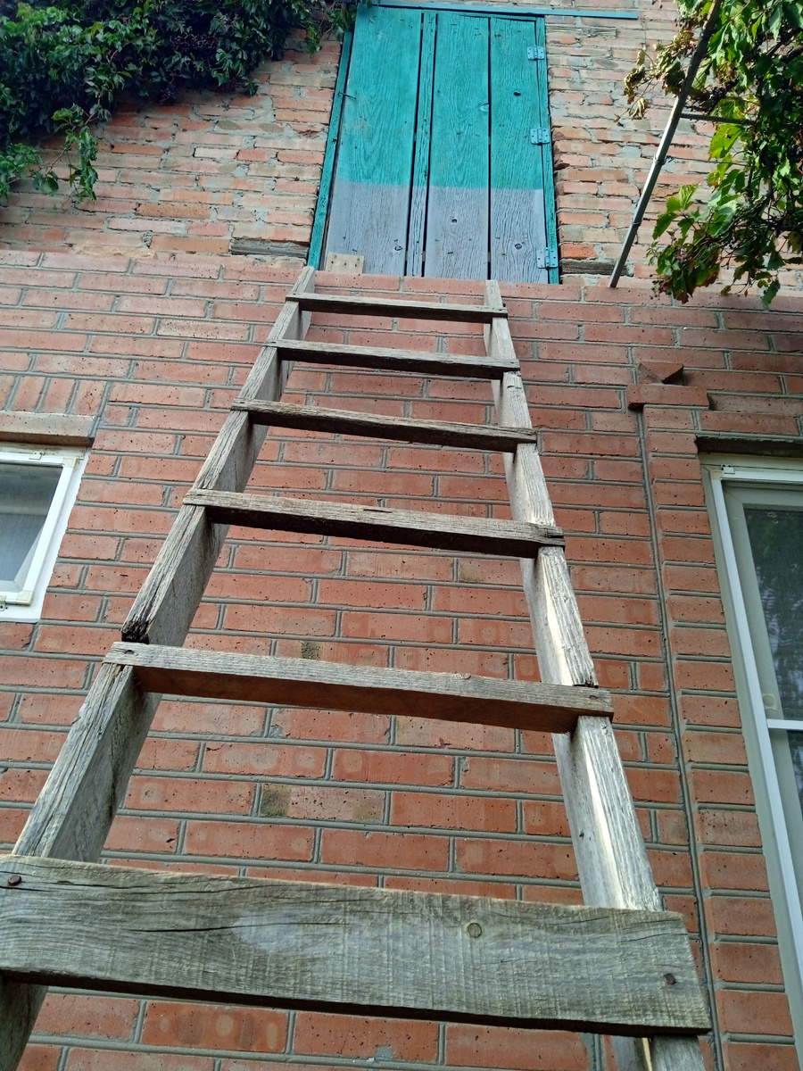 Собственное фото автора. 