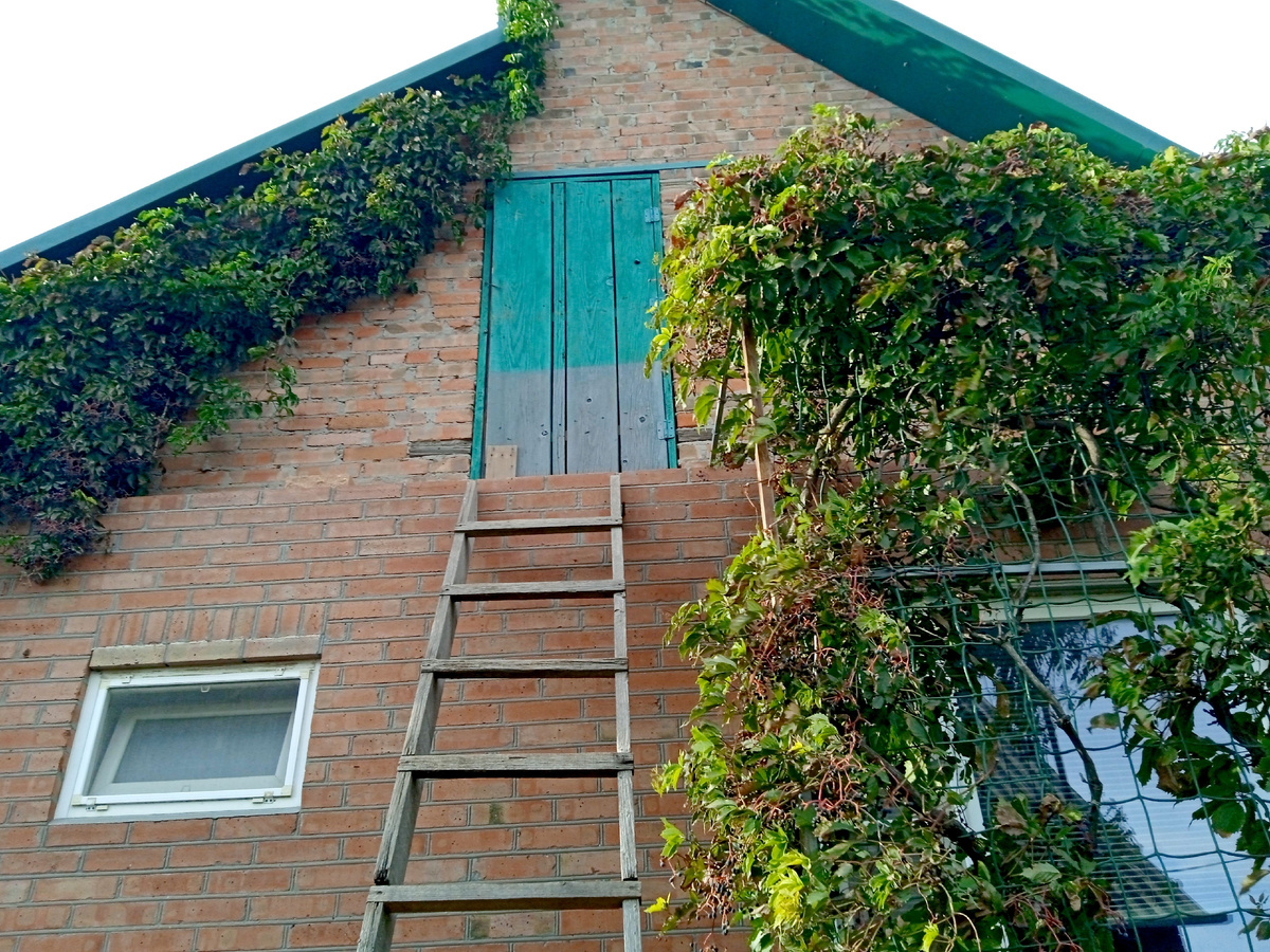 Собственное фото автора. За ТЕМ окном - моя спальня. Когда я просыпаюсь, вижу в окно и лестницу, и голубое небо, и птиц в нём...