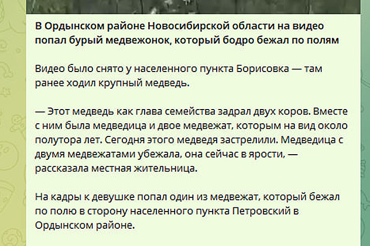 © Фото VN.ru.📷
