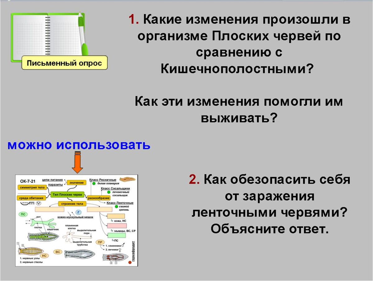 Слайд из презентации