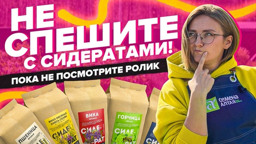 ВСЕ о СИДЕРАТАХ. НОВАЯ ИНФОРМАЦИЯ. ПОЛЬЗА и ОПАСНОСТЬ