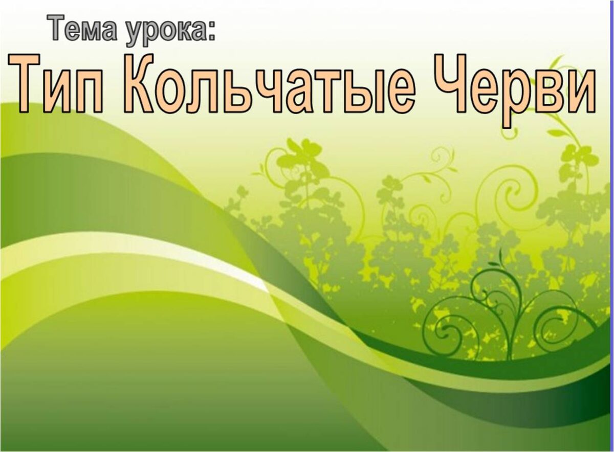 Титульный слайд из презентации по теме