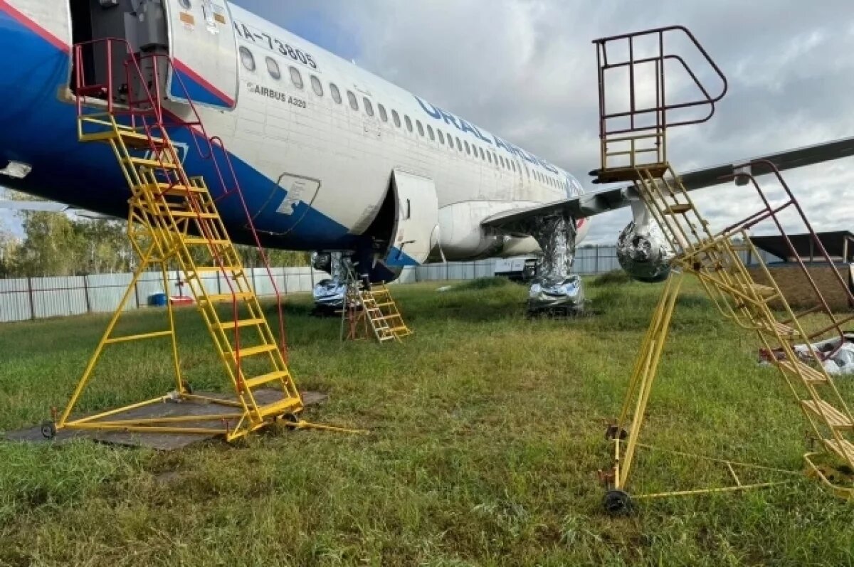    Опубликованы фотографии разборки самолёта Сочи - Омск, стоящего в поле