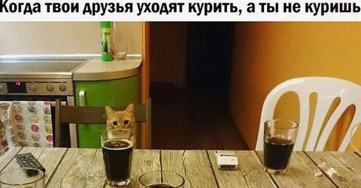А почему когда нет. А почему когда нет