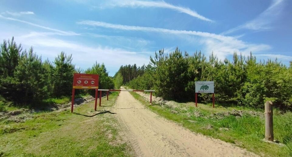    Комитет лесного хозяйства хозяйства Московской области