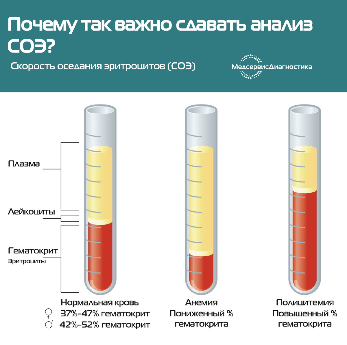 СОЭ нормальный уровень плазмы, лейкоцитов, гематокрита