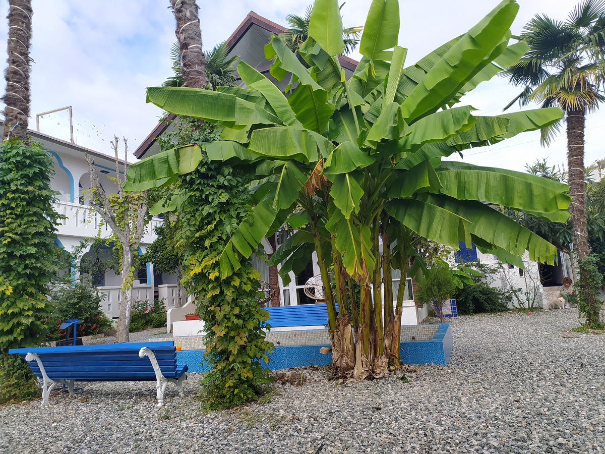 Фото автора Абхазия