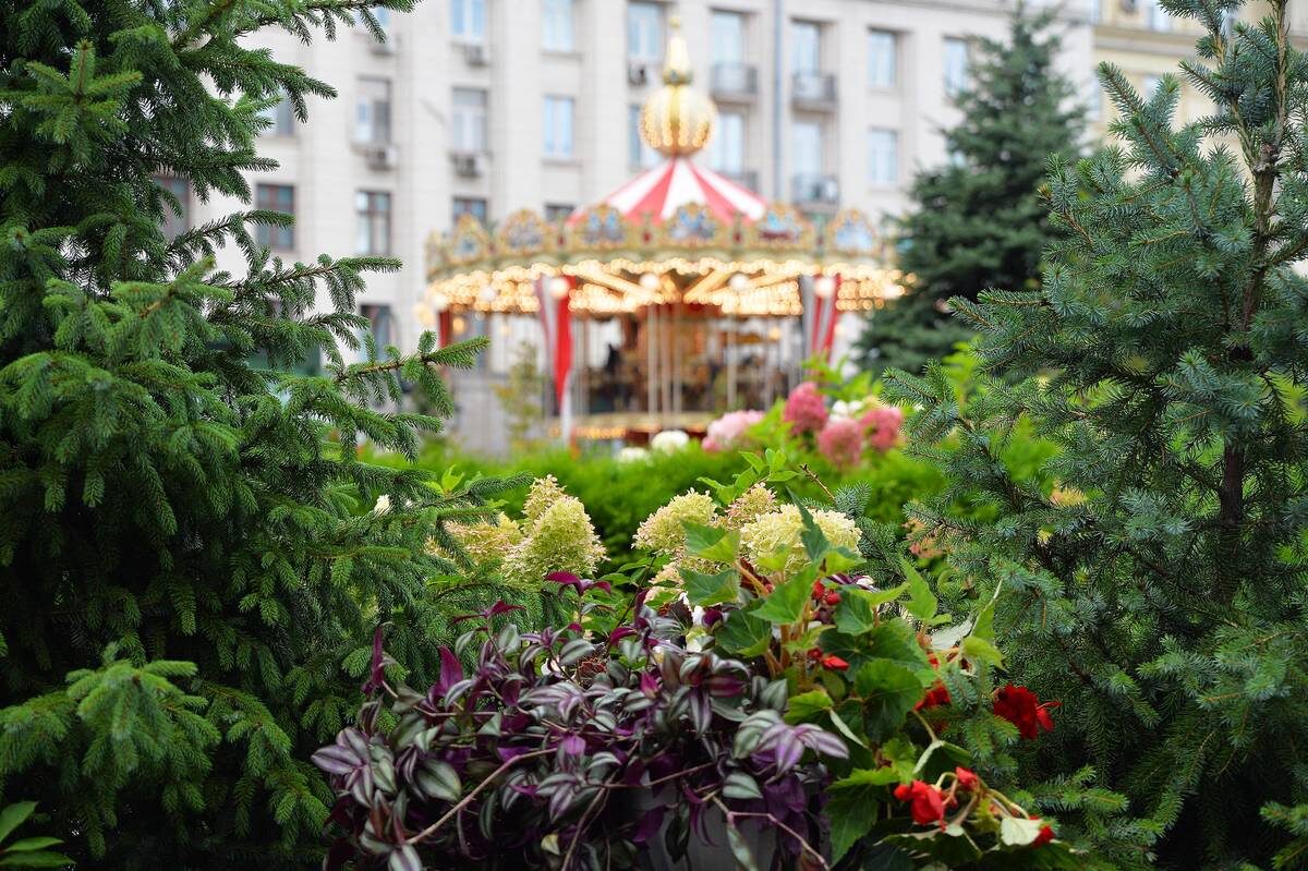    Фото: Пресс-служба оргкомитета цикла городских уличных мероприятий «Московские сезоны»