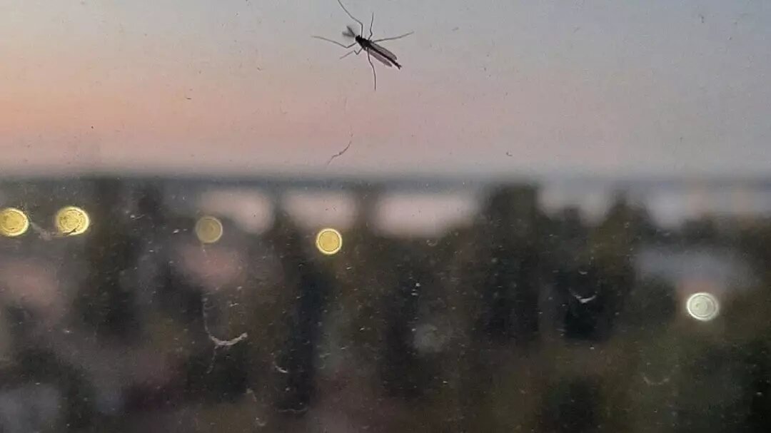     Источник: Подслушано в ПТЗ | Петрозаводск / vk