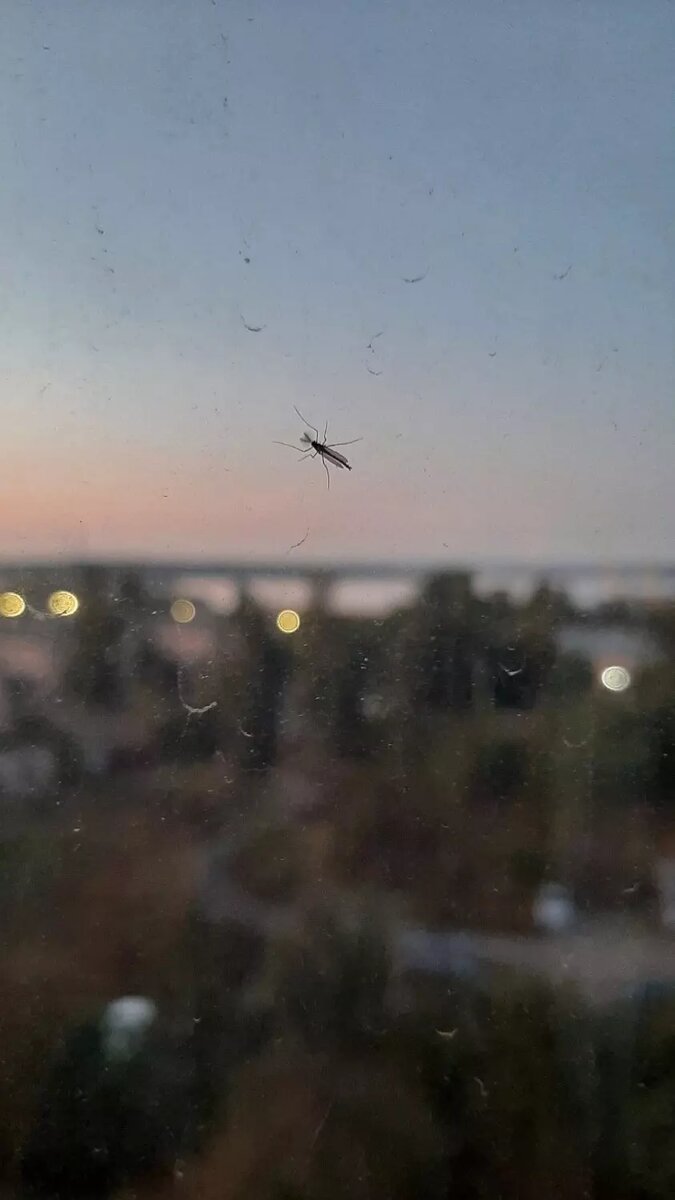     Источник: Подслушано в ПТЗ | Петрозаводск / vk