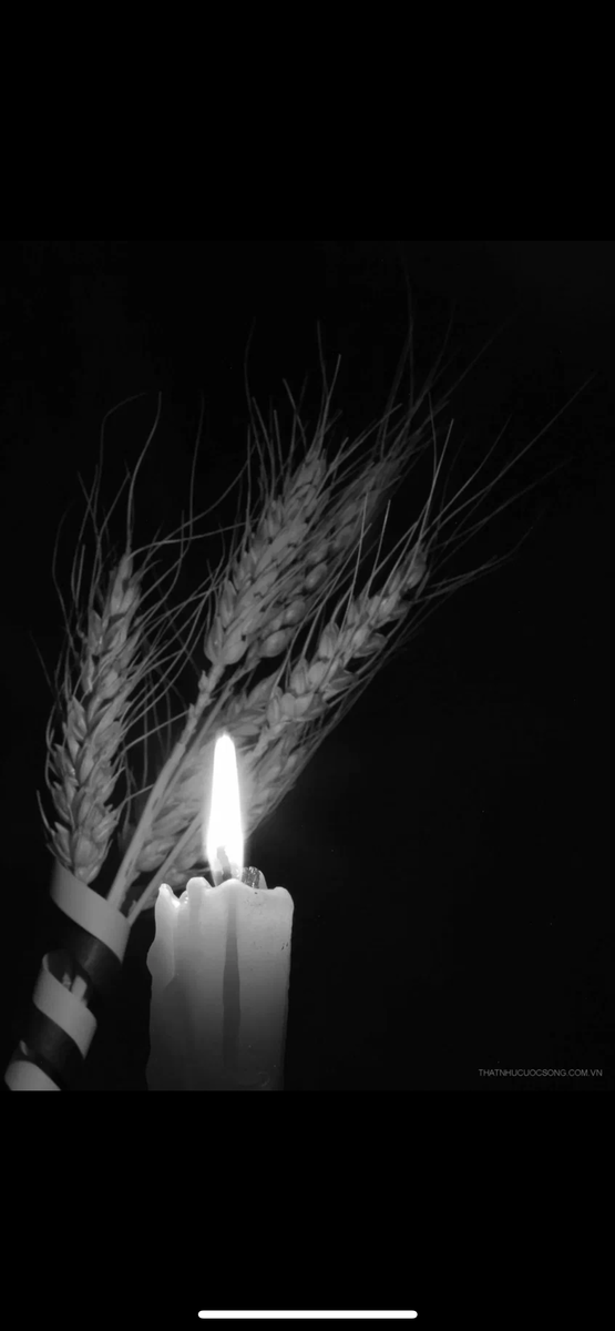 Артур, вечная память тебе.