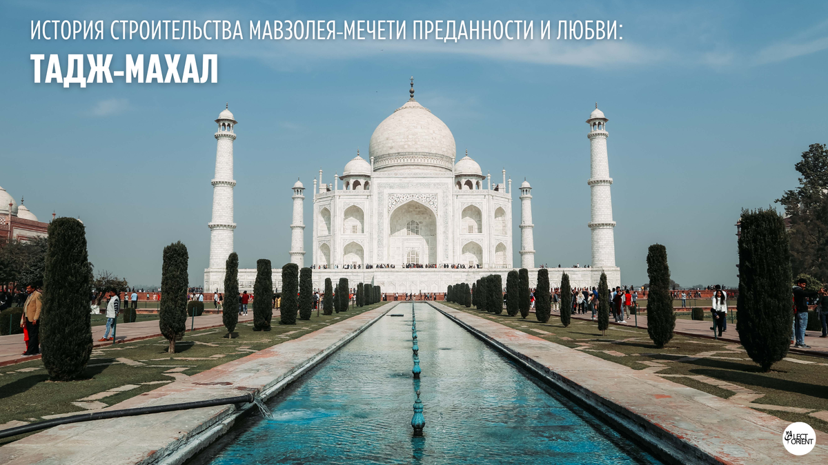 Фото взято из открытого фотостока Canva