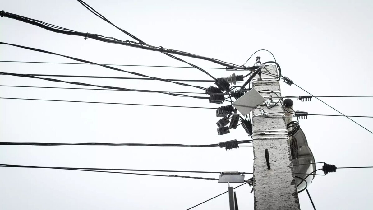     Источник: novostivolgograda.ru