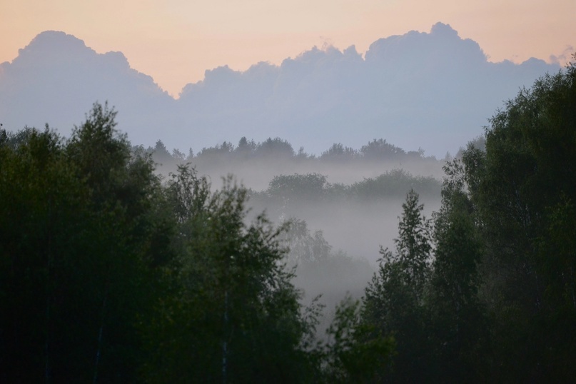 Территория ретрит центра "Станции Мир"