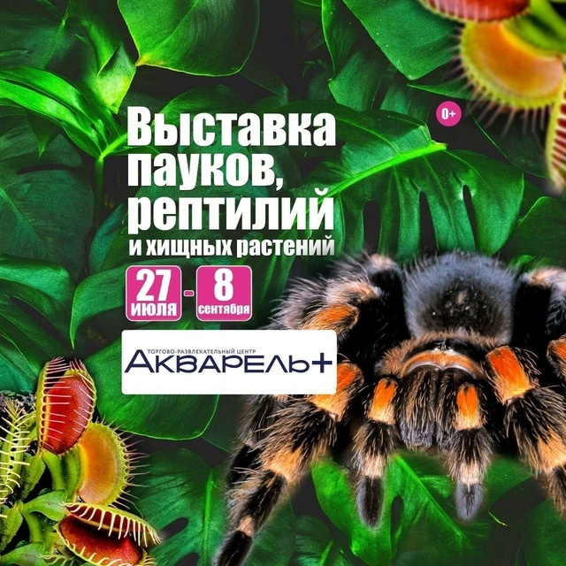 Фото из сети Интернет