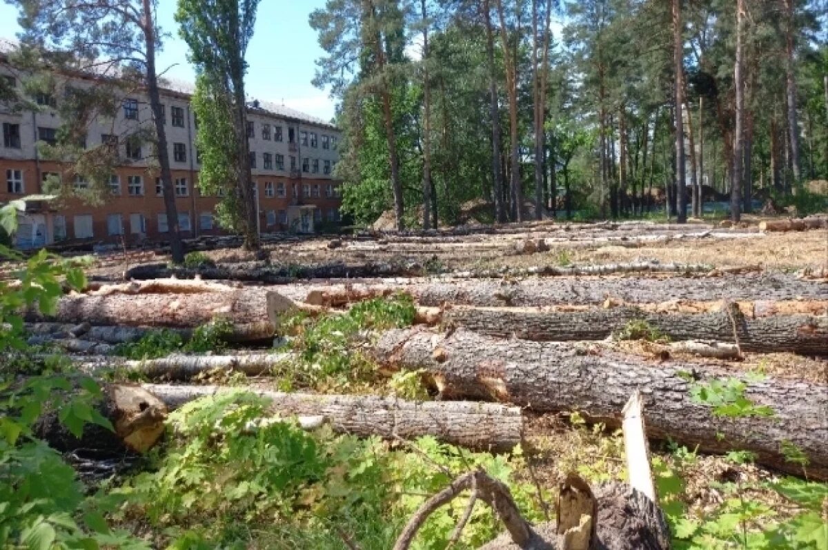    В Щекинском районе неизвестный срубил семь деревьев на 105 тыс. руб.