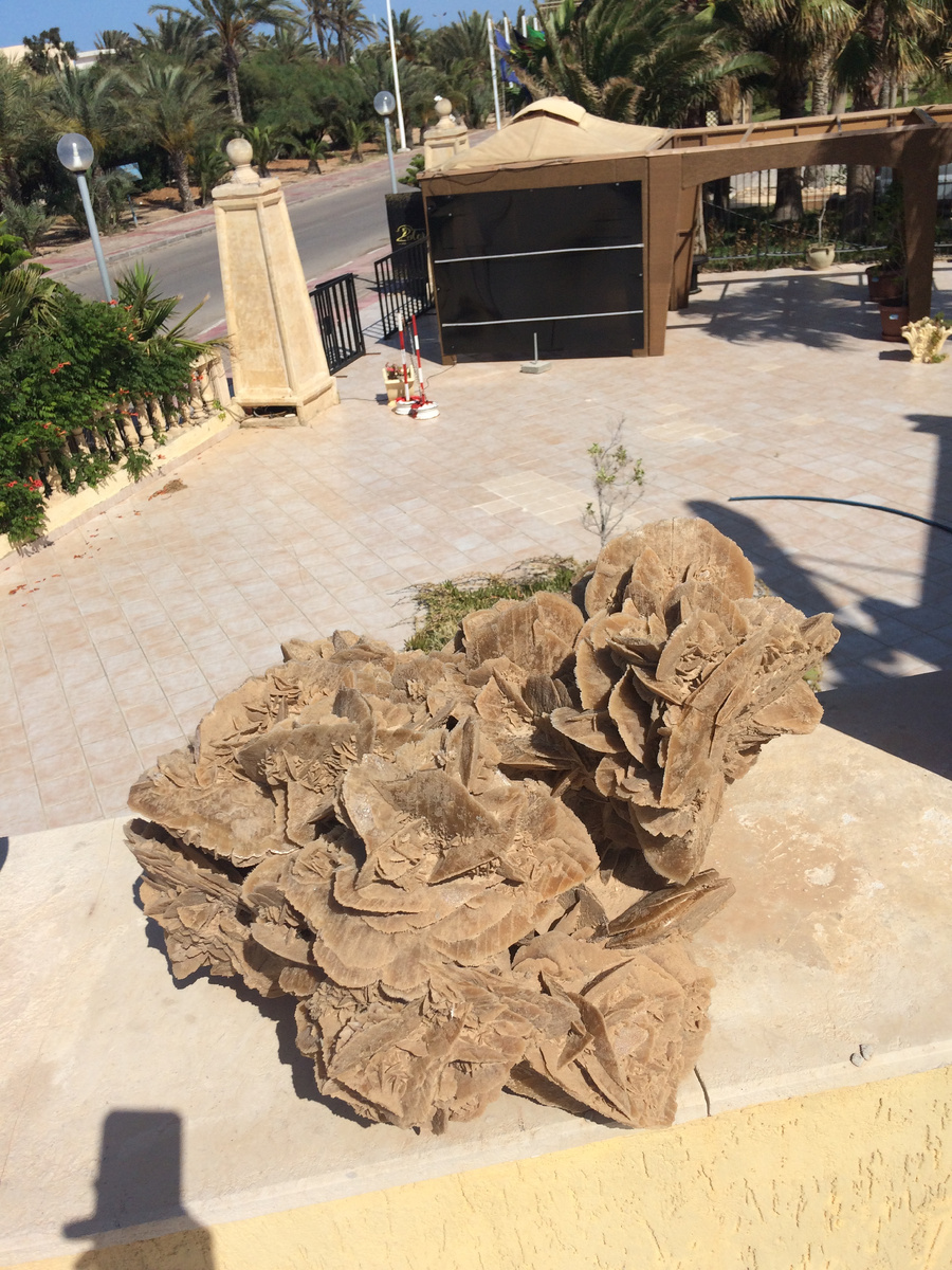 Роза пустыни