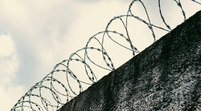   Image by Mateus Andre on Freepik